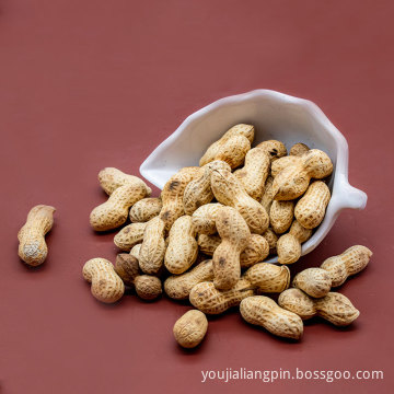 Rich protein Rich protein Kernel Peanuts Kernel Peanut